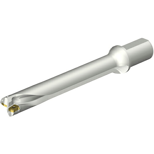 SANDVIK ( サンドビック ) コロドリルDS20刃先交換式ドリル(465) ( DS20-D4200L50-07 (465) )