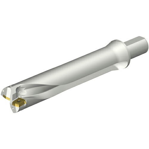 SANDVIK ( サンドビック ) コロドリルDS20刃先交換式ドリル(465) ( DS20-D5398LX38-05 (465) )