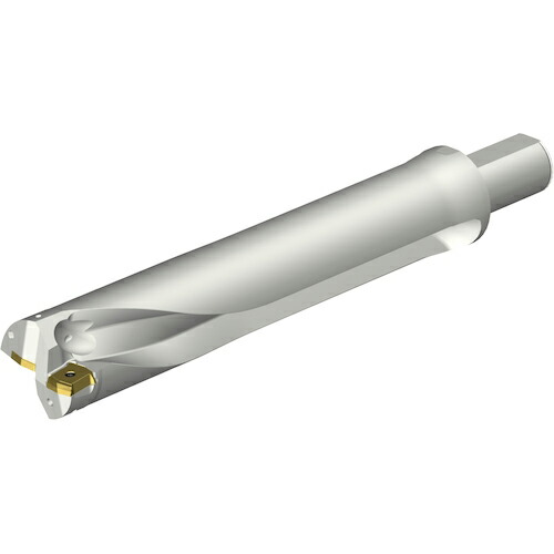 SANDVIK ( サンドビック ) コロドリルDS20刃先取り替えっこ式せん孔機(465) ( DS20-D6033LX38-05 (465) )