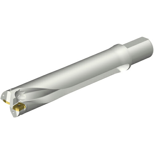 SANDVIK ( サンドビック ) コロドリルDS20刃先交換式ドリル(465) ( DS20-D6000L50-05 (465) )