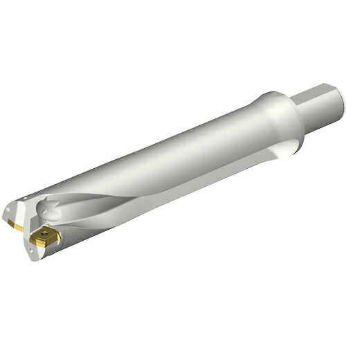 SANDVIK ( サンドビック ) コロドリルDS20刃先取り替えっこ式せん孔機(465) ( DS20-D5715LX38-05 (465) )