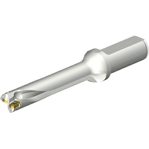 SANDVIK ( サンドビック ) コロドリルDS20刃先交換式ドリル(465) ( DS20-D1950L25-05 (465) )