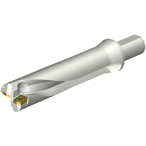 SANDVIK ( サンドビック ) コロドリルDS20刃先交換式ドリル(465) ( DS20-D5398LX38-04 (465) )