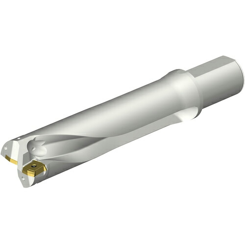 SANDVIK ( サンドビック ) コロドリルDS20刃先取り替えっこ式せん孔機(465) ( DS20-D5800L50-04 (465) ) 【製造業者取寄】