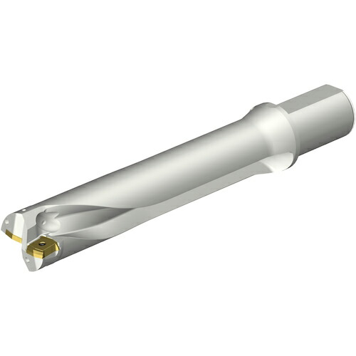 SANDVIK ( サンドビック ) コロドリルDS20刃先交換式ドリル(465) ( DS20-D5300L50-05 (465) )