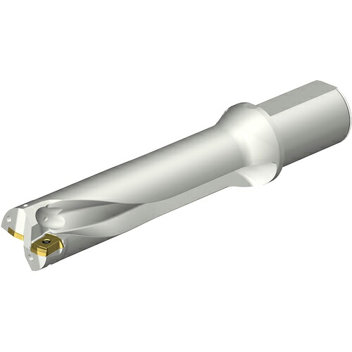 【SALE通貨価値】SANDVIK ( サンドビック ) コロドリルDS20刃先取り替えっこ式せん孔機(465) ( DS20-D4800L50-04 (465) )