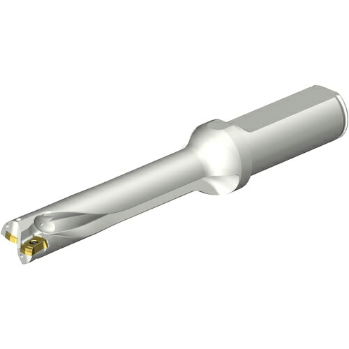 SANDVIK ( サンドビック ) コロドリルDS20刃先取り替えっこ式せん孔機(465) ( DS20-D1550L20-05 (465) )