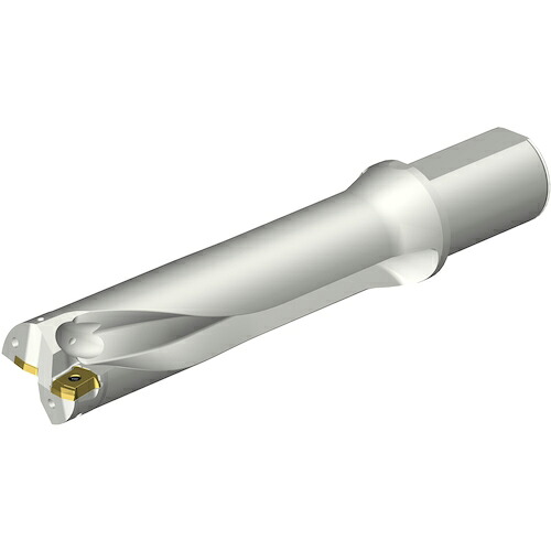 SANDVIK ( サンドビック ) コロドリルDS20刃先交換式ドリル(465) ( DS20-D5200L50-04 (465) )
