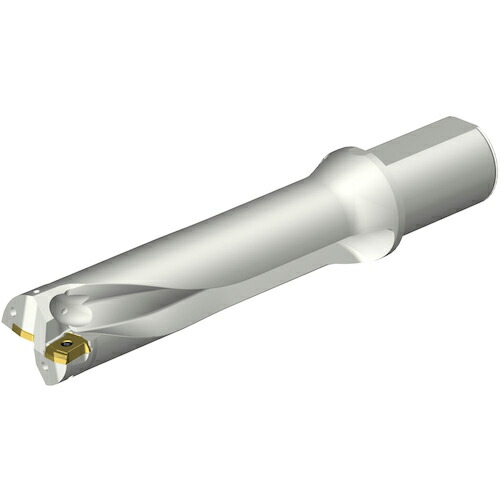 SANDVIK ( サンドビック ) コロドリルDS20刃先交換式ドリル(465) ( DS20-D5000L50-04 (465) )
