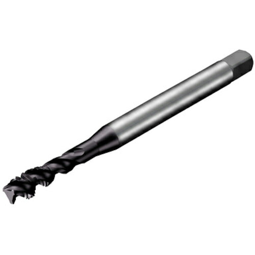 SANDVIK ( サンドビック ) コロタップ300 渦巻き飲み口(781) B110 ( T300-XM170DA-M3 B110 ) 【製造業者取寄】