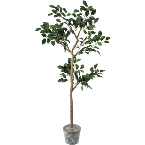 グリーンクロス ジョイントベンジャミンツリーセット 全長130cm ( 6300029189 ) (株)グリーンクロス 【メーカー取寄】