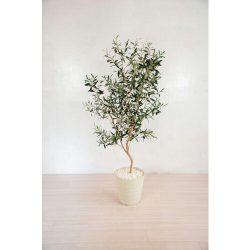 グリーンクロス 人工樹木/人工観葉植物 オリーブ 160cm ( 6300028788 ) (株)グリーンクロス 【メーカー取寄】