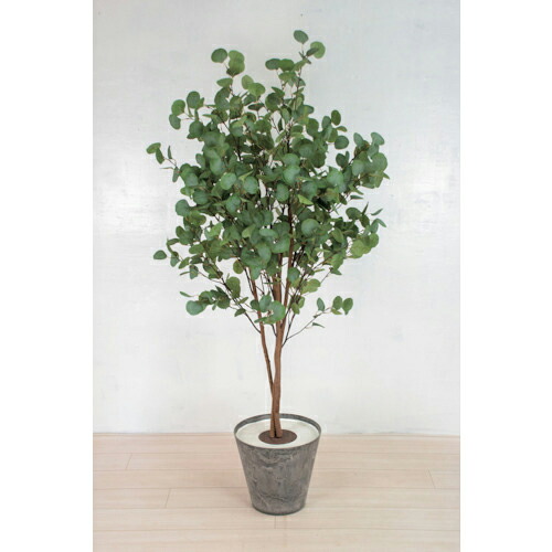 グリーンクロス 人工樹木/人工観葉植物 ユーカリ 大 ( 6300033758 ) (株)グリーンクロス 【メーカー取寄】