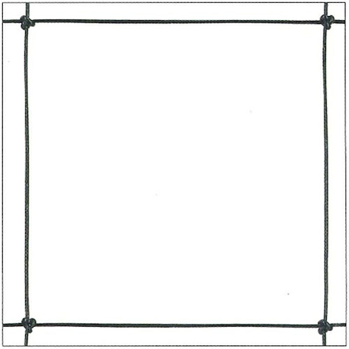 グリーンクロス 鳥害防止ネットハイレンジャーK 目合50mm 3m×10m ( 6300032021 ) (株)グリーンクロス 【メーカー取寄】