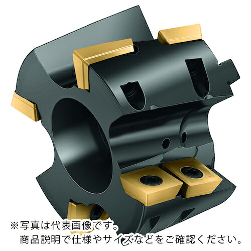 Walter ( ワルター ) ポーキュパインカッターフロントピース ( M4258-063-P30-02-36-F ) ワルタージャパン(株) 【メーカー取寄】