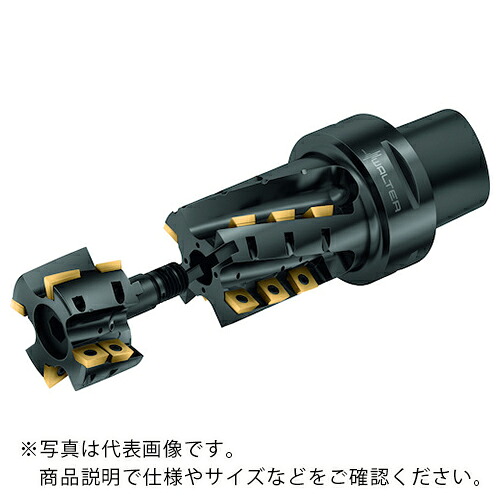 Walter ( ワルター ) ポーキュパインカッター ( M4258-050-C6-02-75-M ) ワルタージャパン(株) 【メーカー取寄】