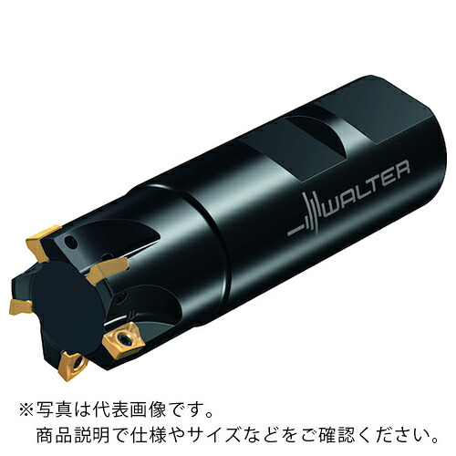 Walter ( ワルター ) 肩削り截断機 M5130-Wウェルドンタイプ 2枚刃 ( M5130-010-W10-02-05 ) 【製造業者取寄】
