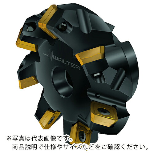Walter ( ワルター ) 45°フェースミルカッター ( M4003-050-B22-08-4.5 )