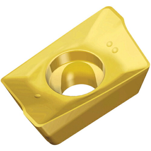 TAEGUTEC ( NTKカッティングツールズ ) ミーリング加工用チップ チェイスミル ( APKT 09T3 PER-EM TT9030 ) 【10個セット】 7,544円