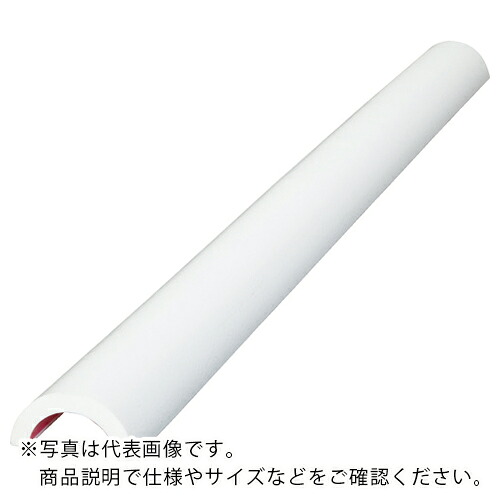 IWATA ( 岩田製作所 ) バンパープロ Rタイプ70 1M 白 ( BP22W-L1 ) (株)岩田製作所 【メーカー取寄】