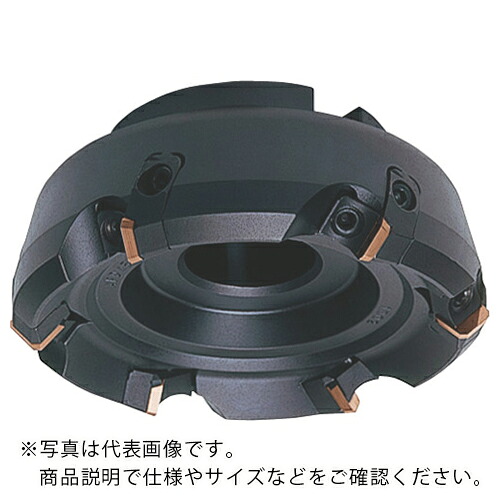 MOLDINO アルファ45 人間の顔圧砕機  ( A45E-5250R )