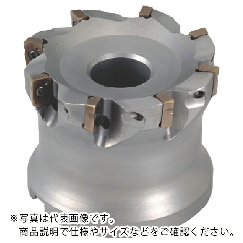 MOLDINO アルファ ポリッシュ圧砕機V手合い  ( ASPVB2063R-8 ) その他-DIY・工具-花・ガーデン・DIY