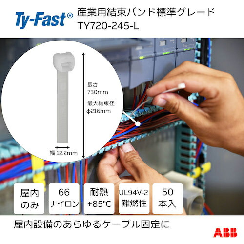 TY－Fast ( ABB ) 一緒になるダンス楽隊 工業用有線テレビ引き分け 標準尺度 自然的色 幅12.2X長さ730粍50本入り口・入口 ( TY720-245-L )
