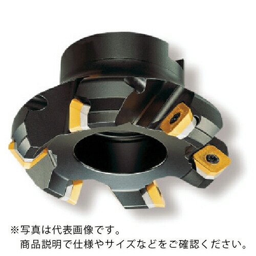 SANDVIK ( サンドビック ) コロミル245カッター(450) ( RA245-125J38.1-12M (450) )