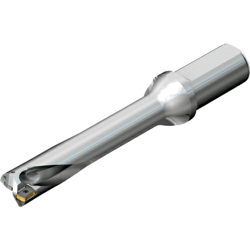 SANDVIK ( サンドビック ) コロドリルDS20刃先取り替えっこ式せん孔機(465) ( DS20-D3900L40-05 (465) ) DIY・工具-その他-花・ガーデン・DIY
