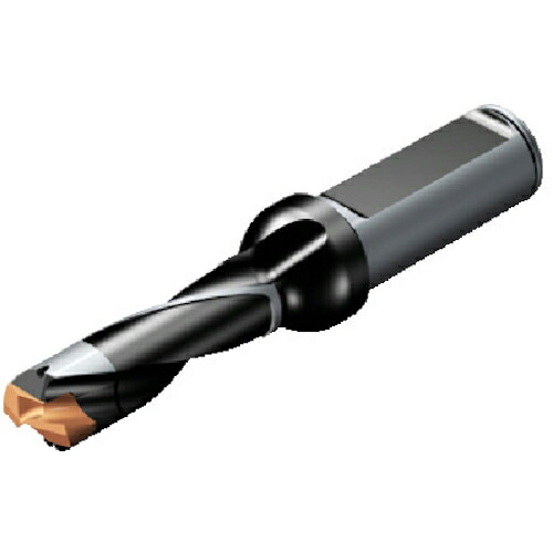 SANDVIK ( サンドビック ) コロドリル870 ヘッド交換式ドリル(446) ( 870-1900-19L25-3 (446) ) 【メーカー取寄】