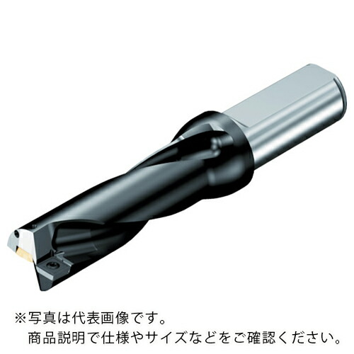 SANDVIK ( サンドビック ) 刃先取り替えっこ式せん孔機 百貨店Uせん孔機(465) ( 880-D3100L40-04 (465) )