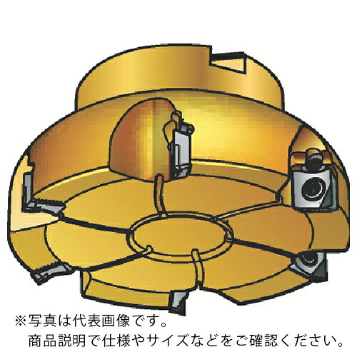 SANDVIK ( サンドビック ) コロミル590裁断師(450) ( R590-050Q22S-11M (450) )