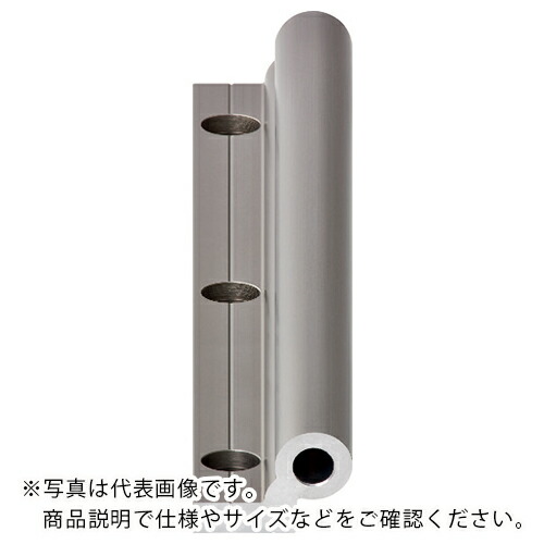 igus ( イグス ) ドライリンWシングルレール16型 ( WS-16-1000 ) イグス(株) 【メーカー取寄】