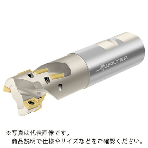 ワルター ポーキュパインカッター ( F4038.UW19.019.Z01.30 )