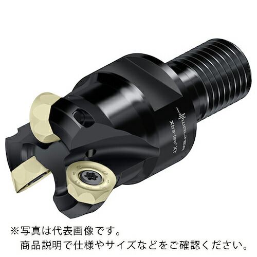 【SALE価格】ワルター 丸駒カッター M5468-Tスクリューフィットタイプ 2枚刃 ( M5468-024-T22-02-06 )
