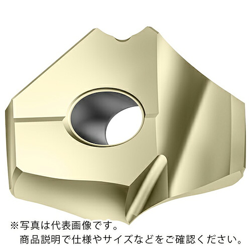 Walter ( ワルター ) ポイントドリルチップ WPP25 ( P6006-D17,07R WPP25 ) ワルタージャパン(株) 【メーカー取寄】