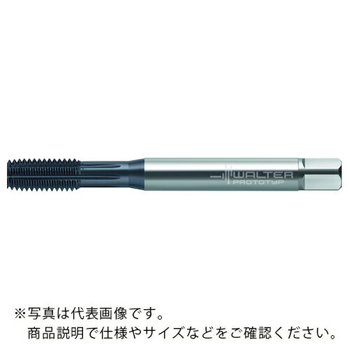 Prototyp ( ワルタージャパン ) HSS-E-PM- 転造タップ ( TC430-M8-C6-WW60EL ) ワルタージャパン(株) 【メーカー取寄】