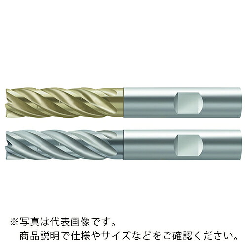 Prototyp ( ワルタージャパン ) 超硬エンドミル ( MD133-10.0W5L050D-WJ30RA ) ワルタージャパン(株) 【メーカー取寄】