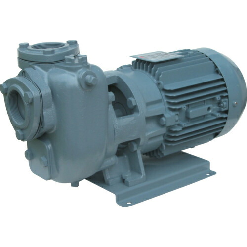 エバラ ( 荏原製作所 ) SQD型自吸ポンプ 50Hz 口径25mm ( 25SQGD5.4C ) (株)荏原製作所 【メーカー取寄】