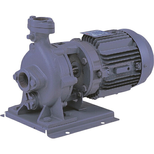 エバラ ( 荏原製作所 ) FVD型ブルテックスポンプ 60Hz 口径40mm 出力0.75kW ( 40FVD6.75C ) (株)荏原製作所 【メーカー取寄】