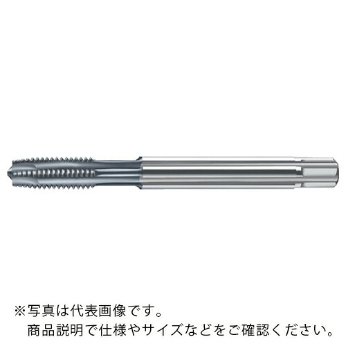 Prototyp ( ワルタージャパン ) 機関水道栓 ( 8021006-M10 )