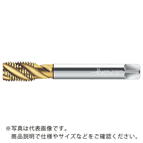 【SALE価格】Prototyp マシンタップ ( P2158905-M10X1 )