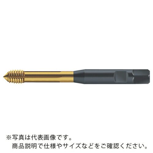 【SALE価格】Prototyp 転造タップ ( S2061306-M6 )