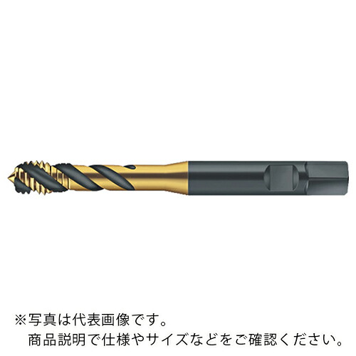 【SALE価格】Prototyp マシンタップ ( S2156302-M12X1.25 )