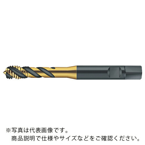 【SALE価格】Prototyp マシンタップ ( S2156302-M16X1.5 )