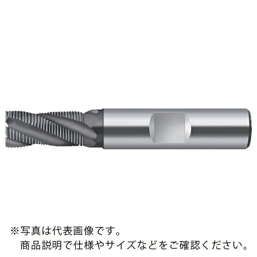 【SALE価格】Prototyp エンドミル ( H4180378-10 )