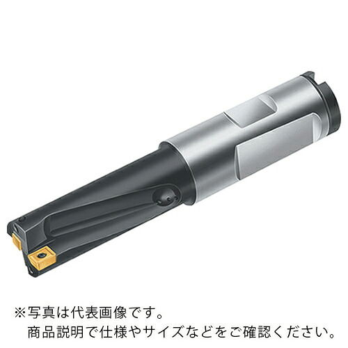 Walter ( ワルター ) チップ交換式ドリル ( B3212.DF.12.5.Z01.25R ) ワルタージャパン(株) 【メーカー取寄】
