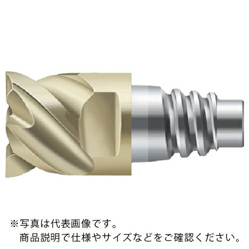 【SALE必要経費】Prototyp ( ワルタージャパン ) Protomax 挙げ句の果て圧砕機 ( H4E34217-E16-16 )