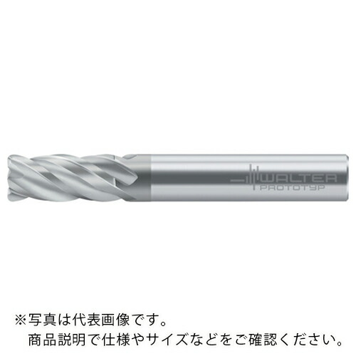 【SALE通貨価値】Prototyp ( ワルタージャパン ) Protomax Inox 挙げ句の果て圧砕機 ( H2038217-10-0.5 )