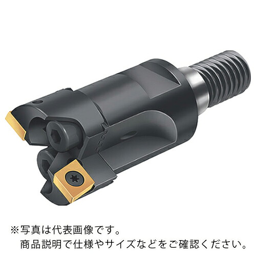 Walter ( ワルター ) 2枚刃原油生産物の具 ( B3221.T18.23-27.Z2.CC06 ) 【製造会社取寄】